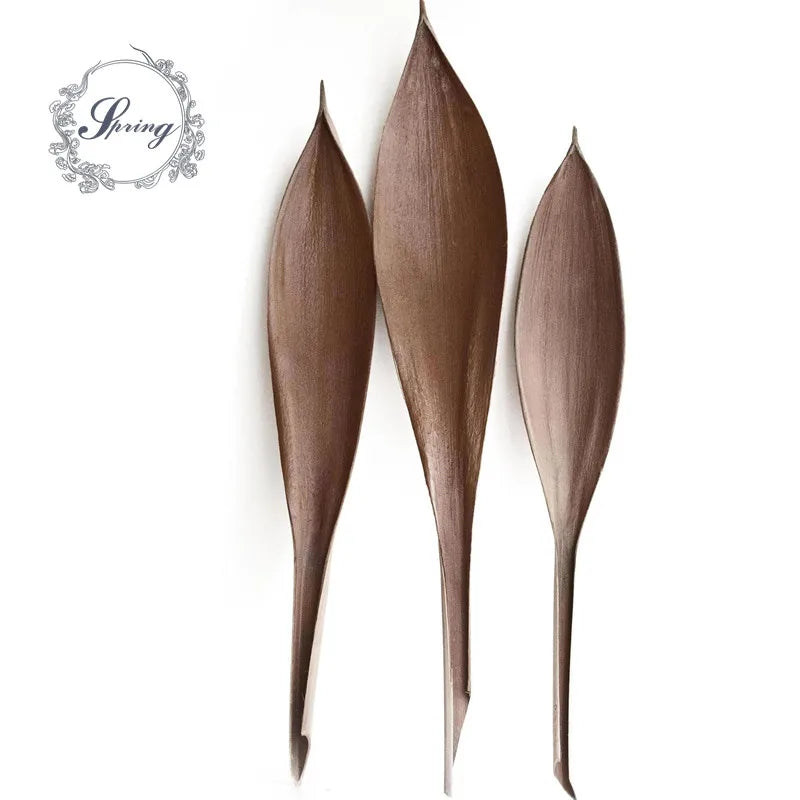 Decorative Dried Leaf Flowers Cocoa Leaves