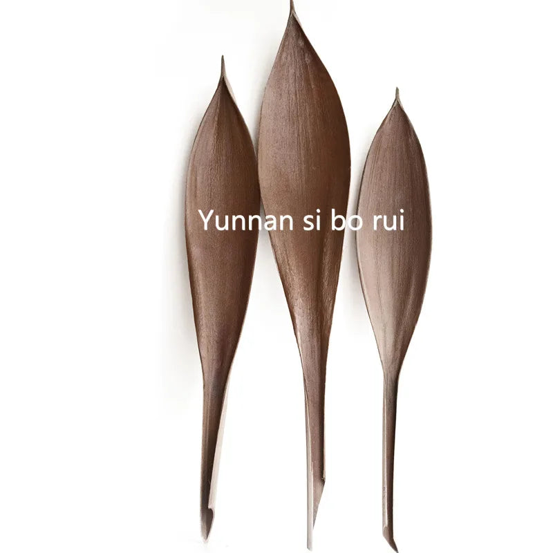 Decorative Dried Leaf Flowers Cocoa Leaves