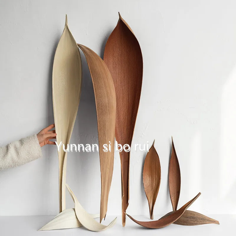 Decorative Dried Leaf Flowers Cocoa Leaves