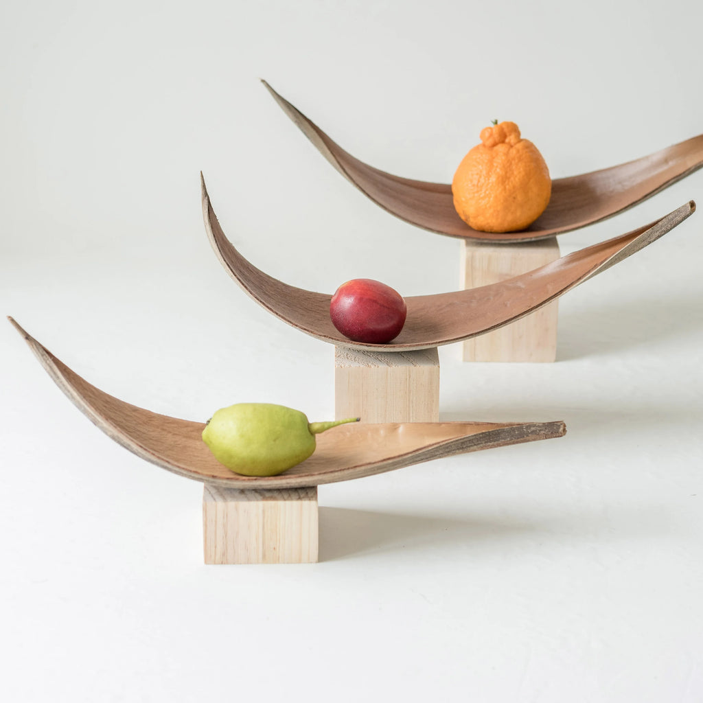 Decorative Dried Leaf Flowers Cocoa Leaves