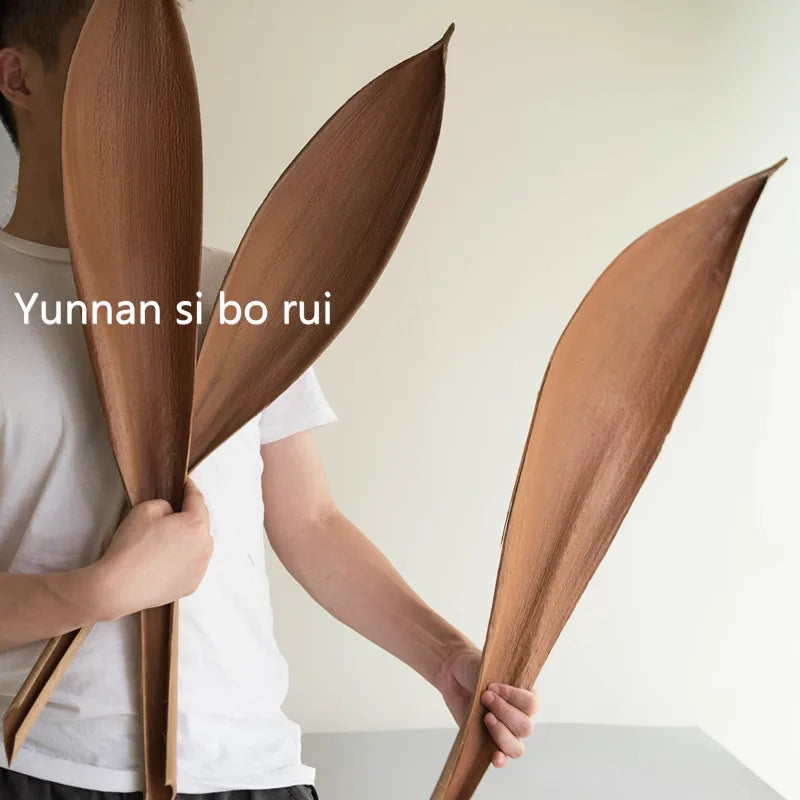 Decorative Dried Leaf Flowers Cocoa Leaves